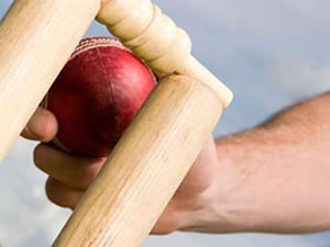 Cricket ball and stumps