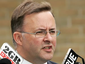 Federal Transport Minister Anthony Albanese says the announcement is a significant breakthrough that reinforces the importance Australia and China's economic relationship.