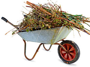 Wheelbarrow