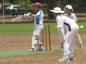 Junior cricket