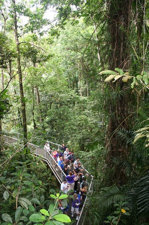 Daintree Discovery Centre