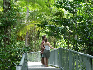 Daintree Discovery Centre