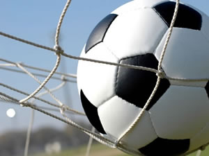 Soccer ball in net