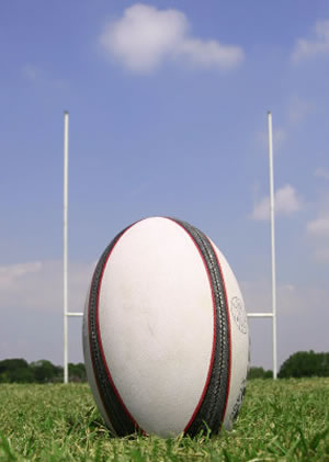 Rugby posts