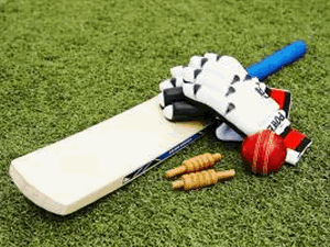 Cricket equipment