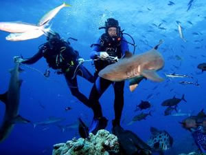 Marine biologist Richard Fitzpatrick