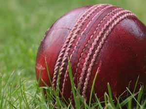 Cricket Ball