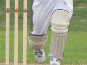 Cricket stumps and pads