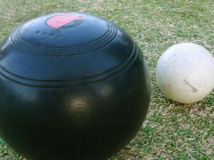 Lawn bowls