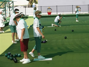 Lawn bowls