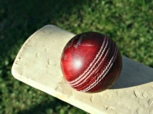 Cricket bat and ball