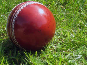 Cricket ball