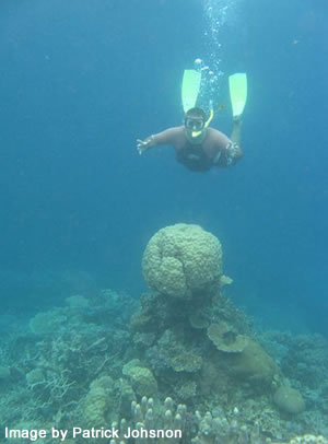 Plan to protect the biodiversity of the Great Barrier Reef