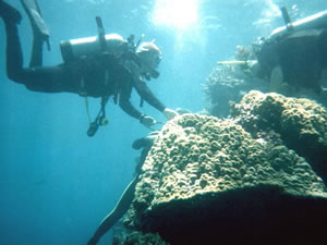 Great Barrier Reef