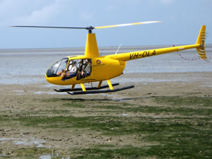 Fisheries Queensland officers will use a helicopter to survey of coral