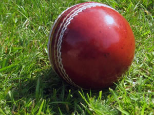 Cricket ball