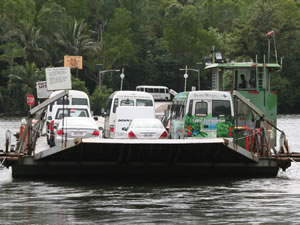 Daintree Ferry