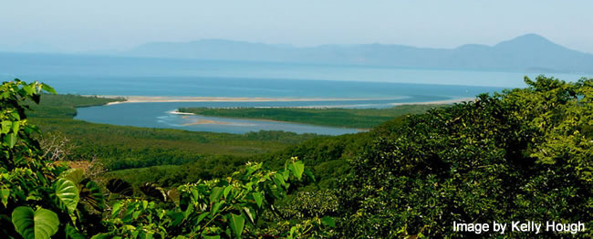 Daintree River