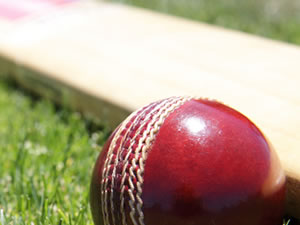 Cricket bat and ball