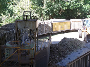 Cane train at the Mossman Central Mill