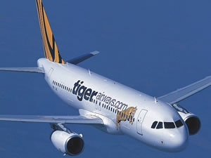 Tiger plane