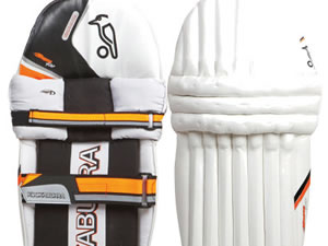 Cricket pads