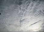 clouds over Port Douglas were in a beautiful Cirrocumulus formation.