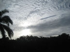 clouds over Port Douglas were in a beautiful Cirrocumulus formation.