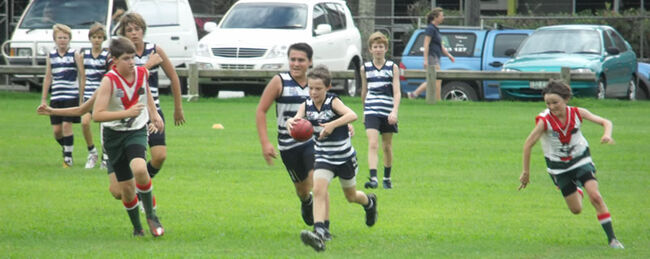 Port Douglas Crocs U8