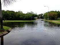 High tide on Mowbray Street, Port Douglas, January 30. (Rosie Wang)