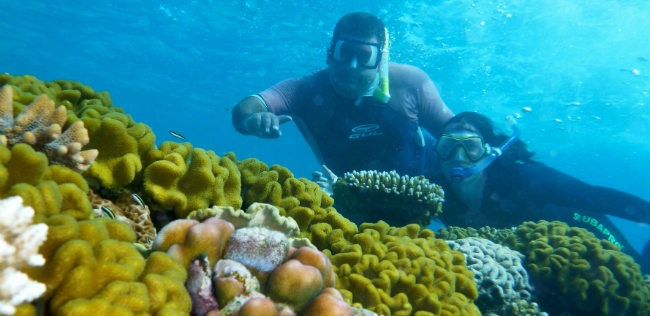 Divers at Great Barrier Reef