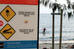 The permanent warning sign at Four Mile beach. PIC Kerry Larsen