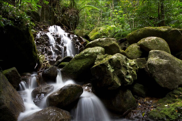 Jascha Gusmeroli. Taken on a Hike into the mountains behind Mossman