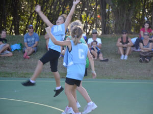 Port Douglas junior netball