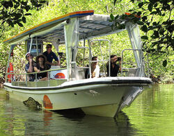 Solar Whisper Wildlife Cruises. (Pic: Solar Whisper)