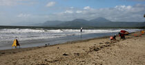 Tri-Port Triathlon, Port Douglas, Sept 7 2013 | The Newsport