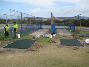 Cricket pitch