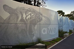 Perforated metal artwork fences in the Adelaide Zoo.