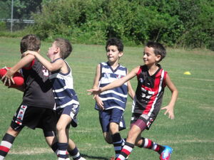 Port Douglas Crocs Juniors in action