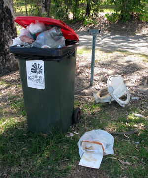 Above and below, some of the rubbish dumped at Rocky Point.