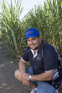 Mossman cane farmer Gerard Puglisi | The Newsport