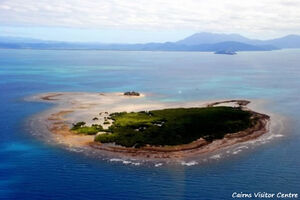 Low Isles, off Port Douglas.