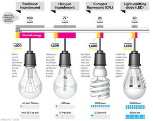 Comparison of light bulbs | The Newsport, Port Douglas and Mossman News First