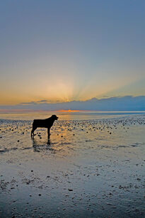 2nd place - Pip Parbery -  Stormy on 4 mile beach at sunrise;