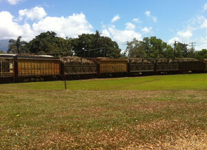 Mackay Sugar dumps Community Working Group