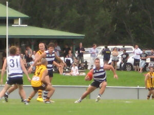 Port Douglas Crocs AFL team dominate the Hawks at the Port Douglas Sports Complex