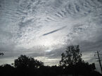 clouds over Port Douglas were in a beautiful Cirrocumulus formation.