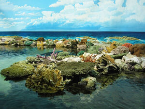 Great Barrier Reef feels after-effects