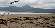 Swimmers at Four Mile Beach, January 29. (Emma Groves)