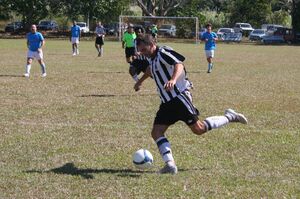 Soccer ball in net